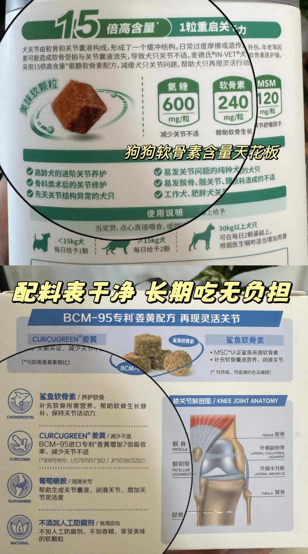 法斗关节养护秘密大公开！