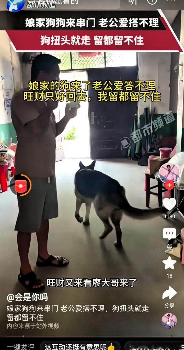 湖南的一个农村妇女吐槽，自己嫁在隔壁村里面，每次娘家的狗过来玩，自己不在家，丈夫