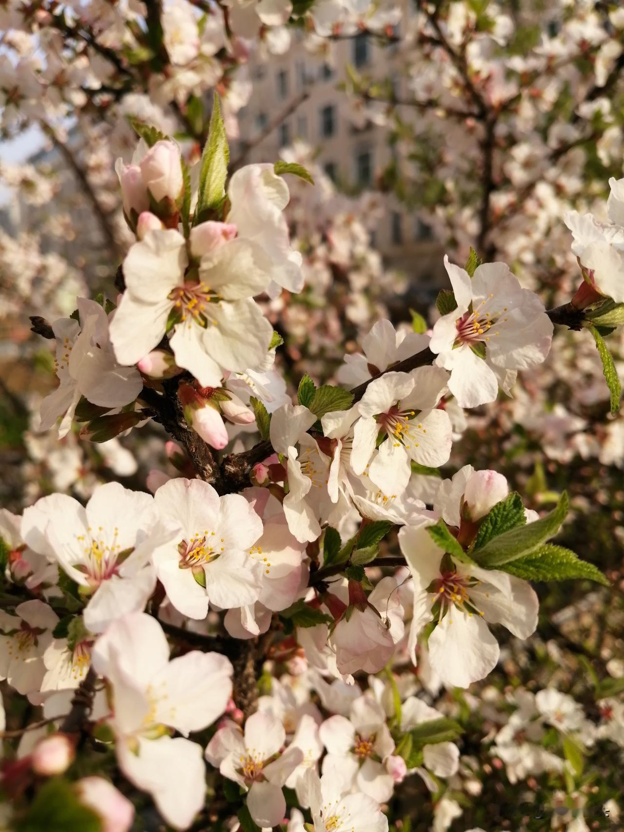 爱与不爱，身体比嘴巴先给出答案。
这事儿根本不是羞于启齿的私事，而是婚姻里最直白