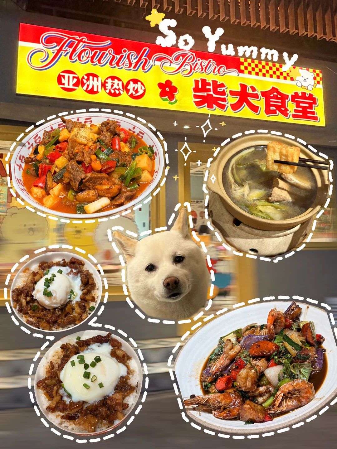 在这里，被汪星人🐶和美味治愈的晚餐🐾 一进