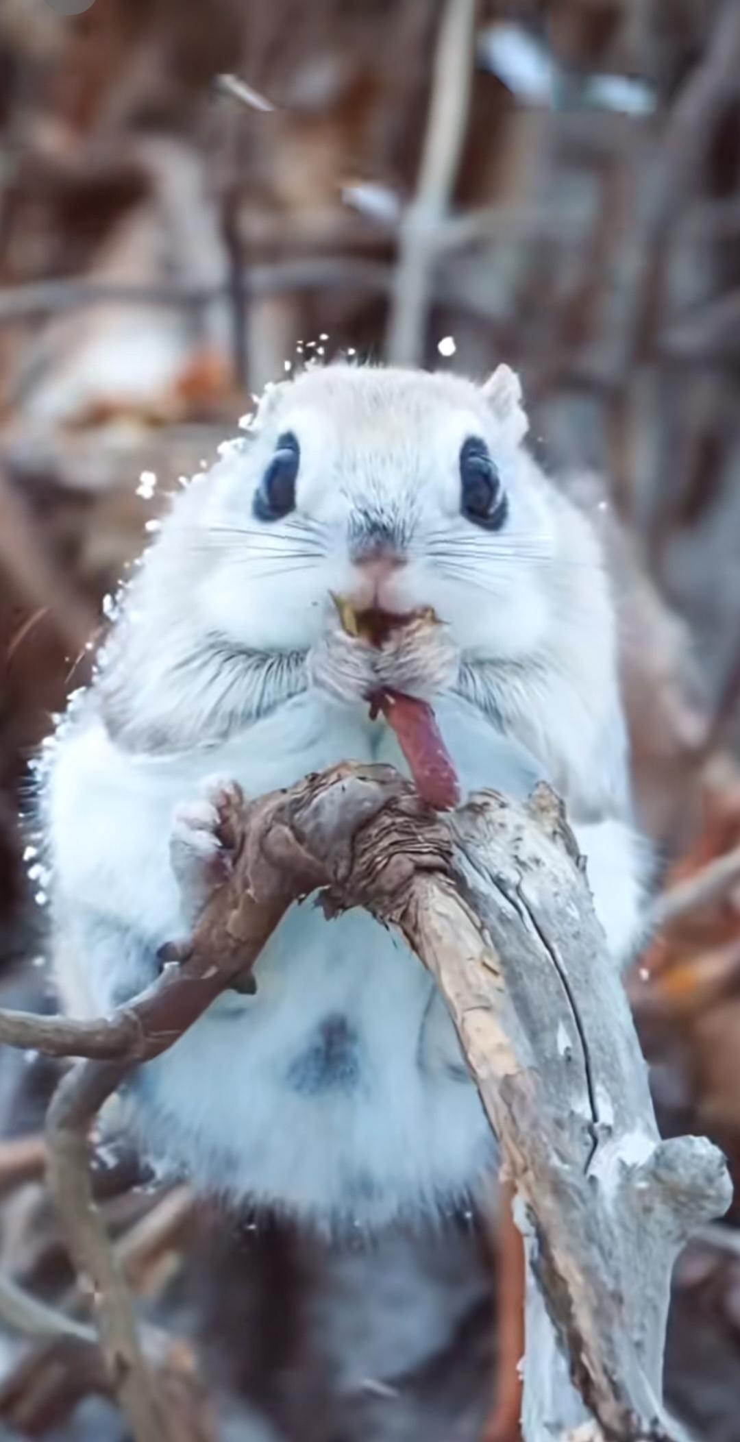 你记得花，花就一直开；
你记得我，我就一直在。
最美的遇见，不必在最好的年华，