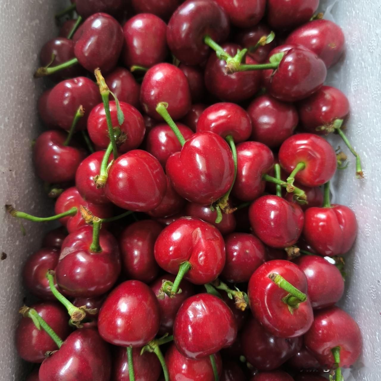 说说那个学生背后蛐蛐我的事后续

前天晚上继续我的实验课，我最喜欢带实验。

上