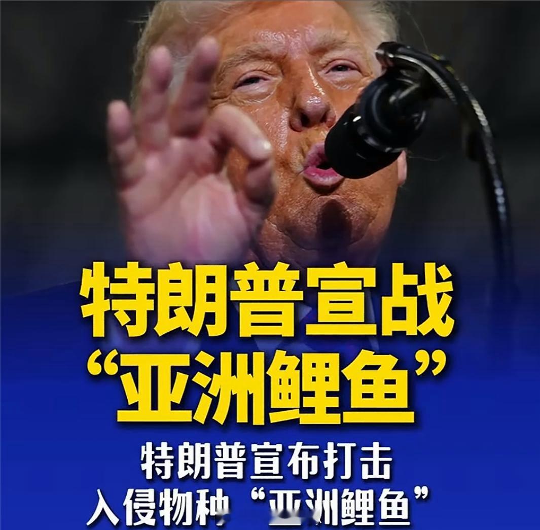 特朗普对鲤鱼宣战懂王又整活了，这次对手是亚洲鲤鱼，懂王：“没有人比我更懂鲤鱼”一