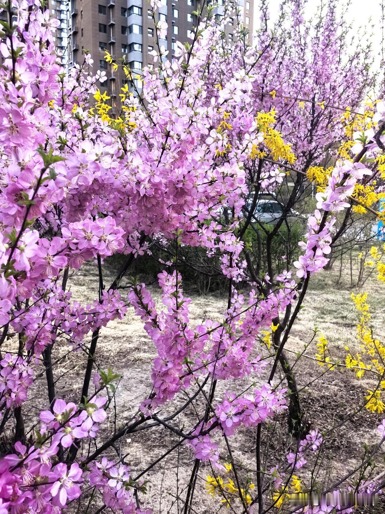  风来听风，雨来赏雨，万事随心。