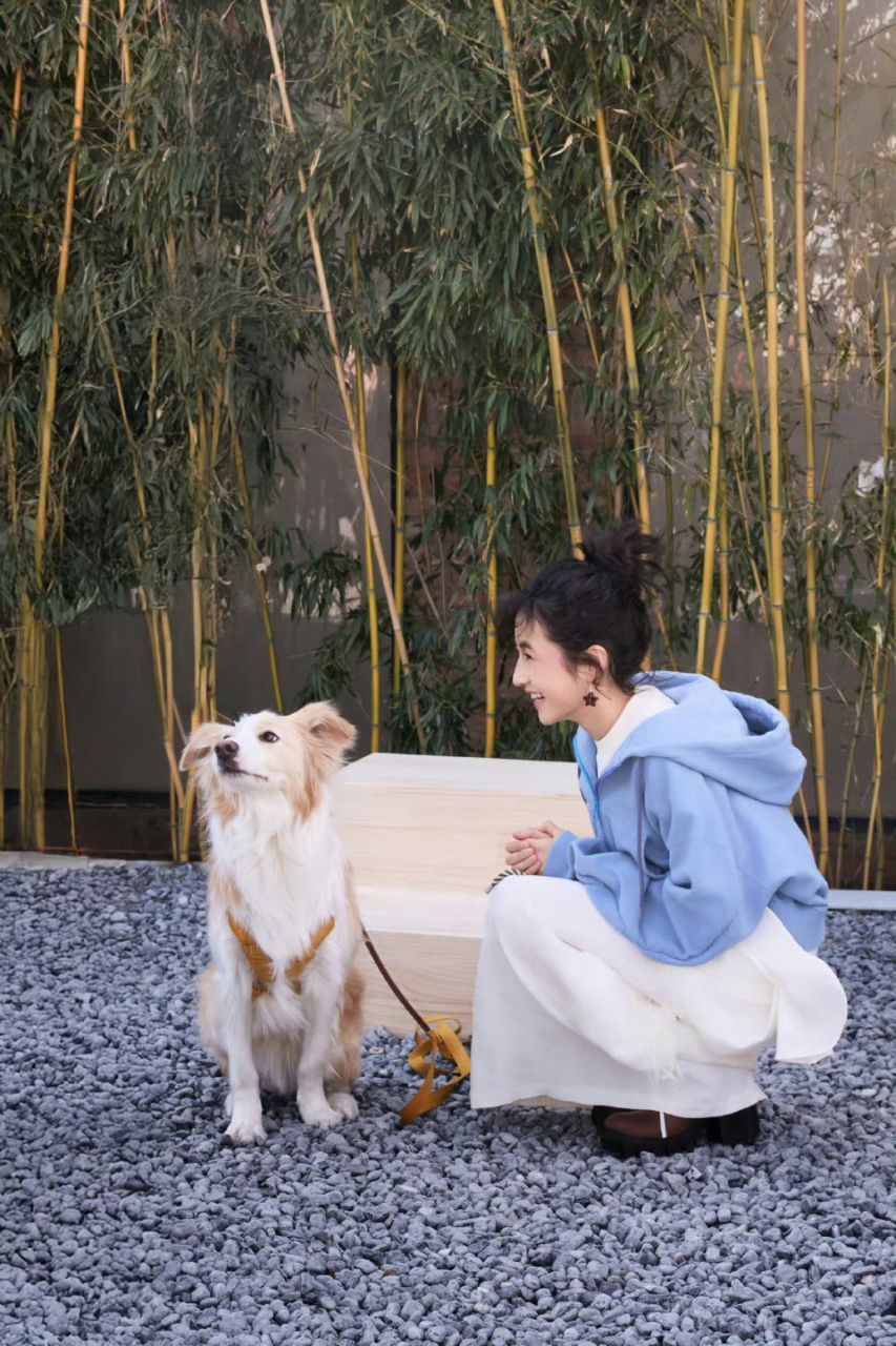 参加聚会的张子枫和塔塔张子枫和塔塔见了好多好多好朋狗参加聚会的张子枫和塔塔 ​​