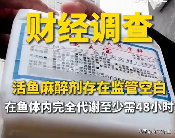 活鱼被麻醉流向餐桌 监管漏洞何时能堵上

央视曝光触目惊心：活鱼被人为麻醉流向餐