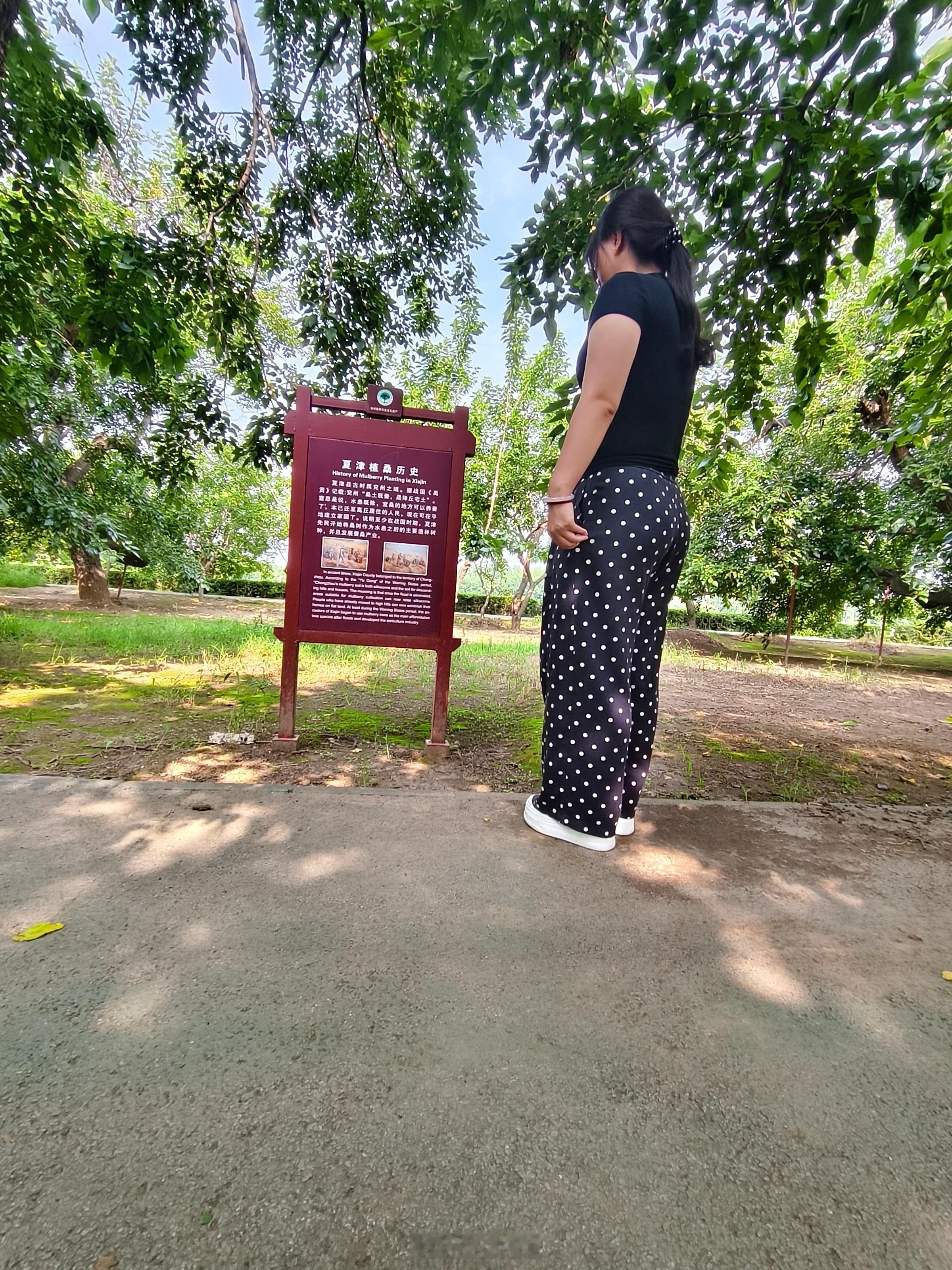 曲阜师范大学社会实践【探访夏津古桑园，探寻黄河故道生态与文化密码】2026年7月