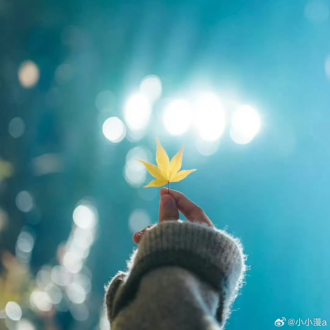 “句句经典，句句通透”✨ᗪᗩIᒪY •͈ᴗ•͈ ♡     他们祝你挺拔，再挺拔