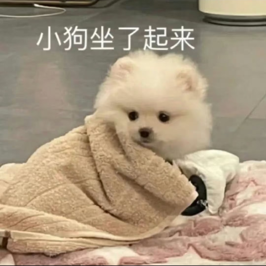 啊😦抽签座位这么安排原来不会掉脑袋吗😦我以为回到21年了😦 