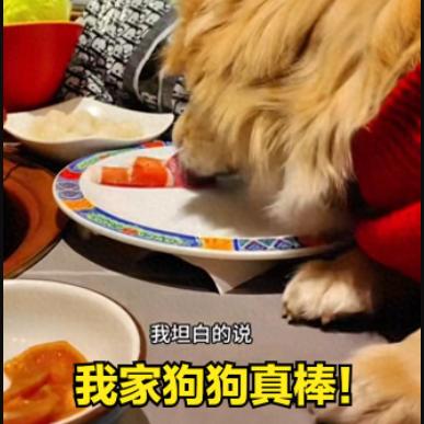 人间无下 限狗主——带狗进餐厅上桌吃肉，发视频炫耀，是个“惯犯”——惩罚要参考海