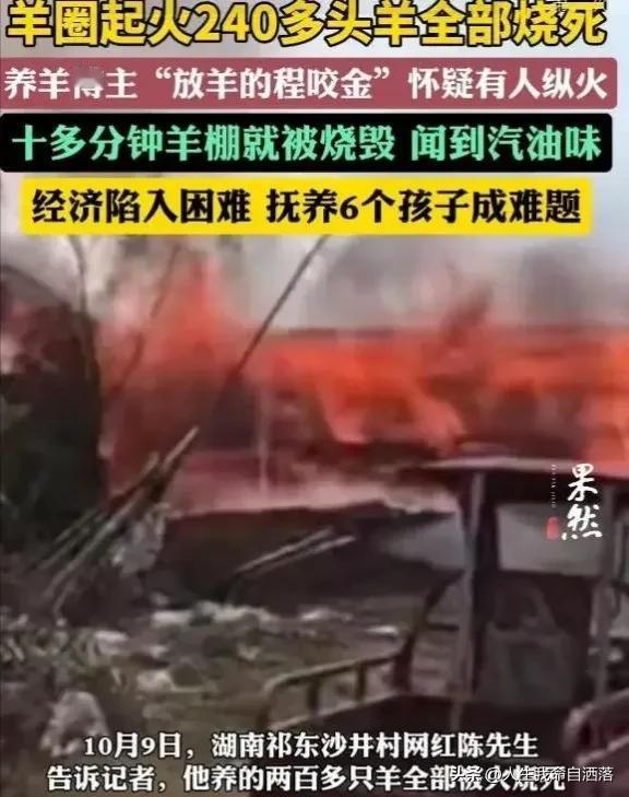 湖南祁东沙井村羊圈遭火灾，两百多只羊不幸罹难
10月9日，湖南祁东沙井村一位网红