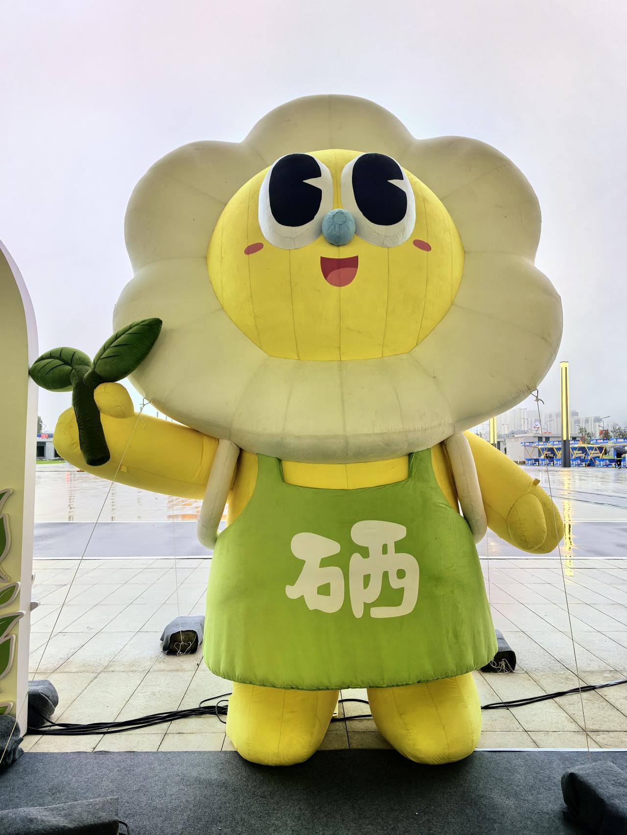 @豆包 帮我点评