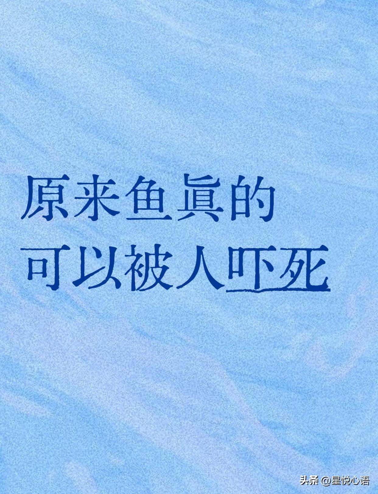 小时候家里的水族箱，藏着我一段记了好多年的心事，现在想起来心里还酸酸的。那会儿爸