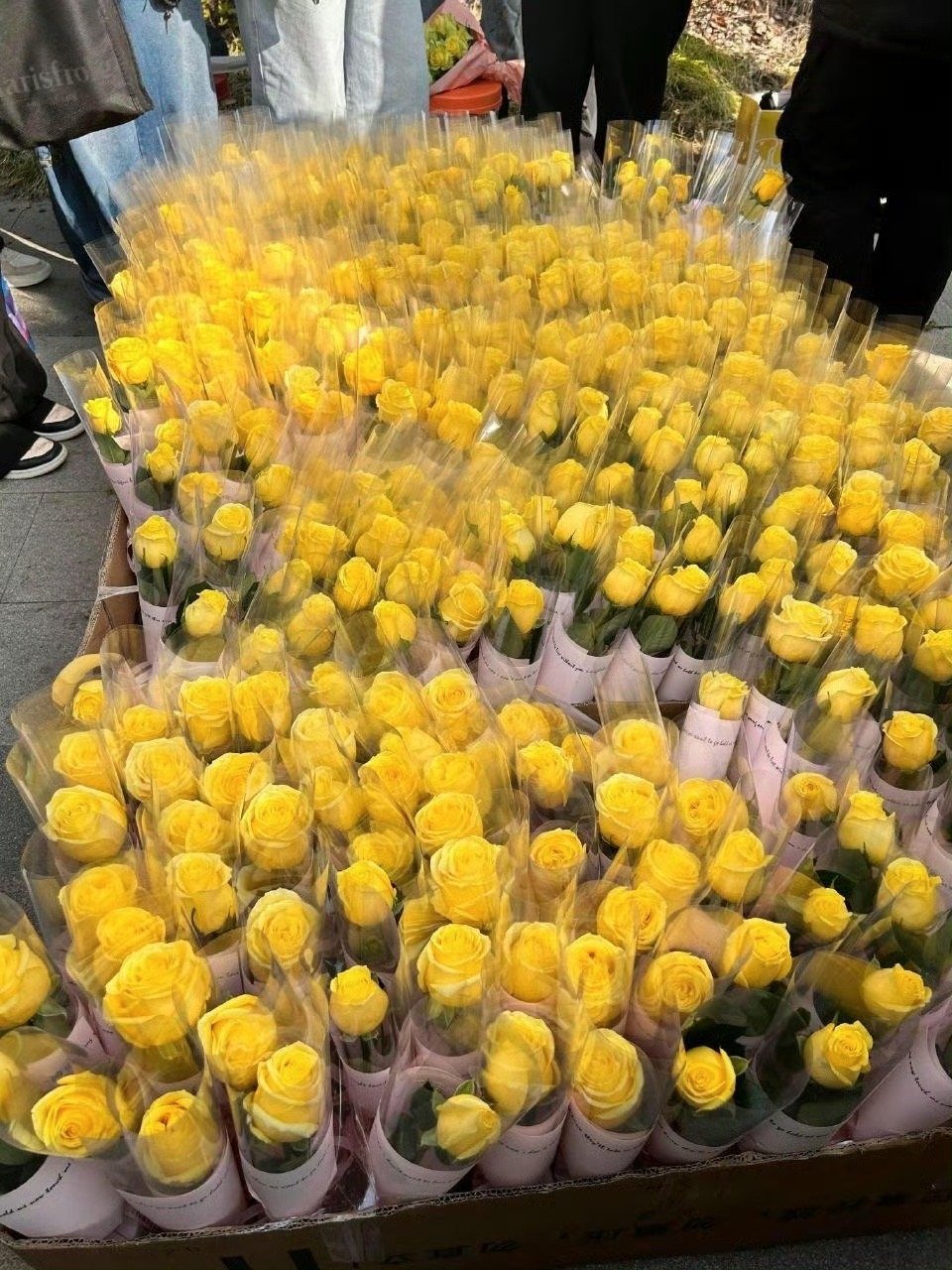 田栩宁柠檬水的F1应援，燥候人气超级高的帅哥田栩宁出场，预祝赛事圆满顺利💛田栩