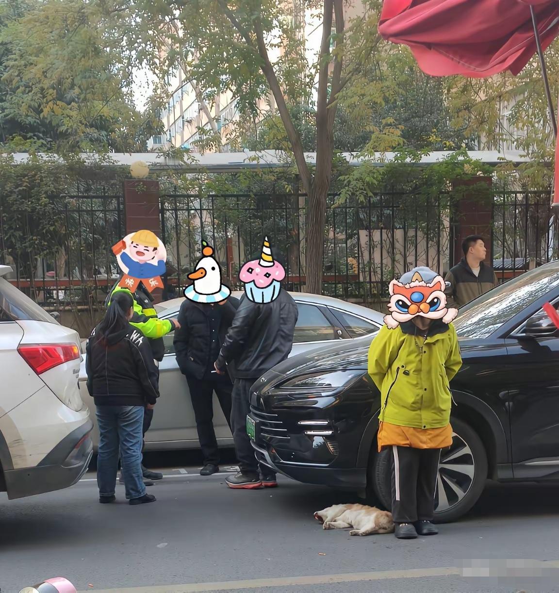 如果开车压死了一条没有栓绳子的狗，突然来了一个自称是狗主人的，过来叫你赔偿六百块