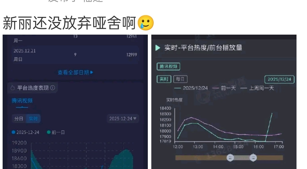 哑舍的热度，垂直起立 