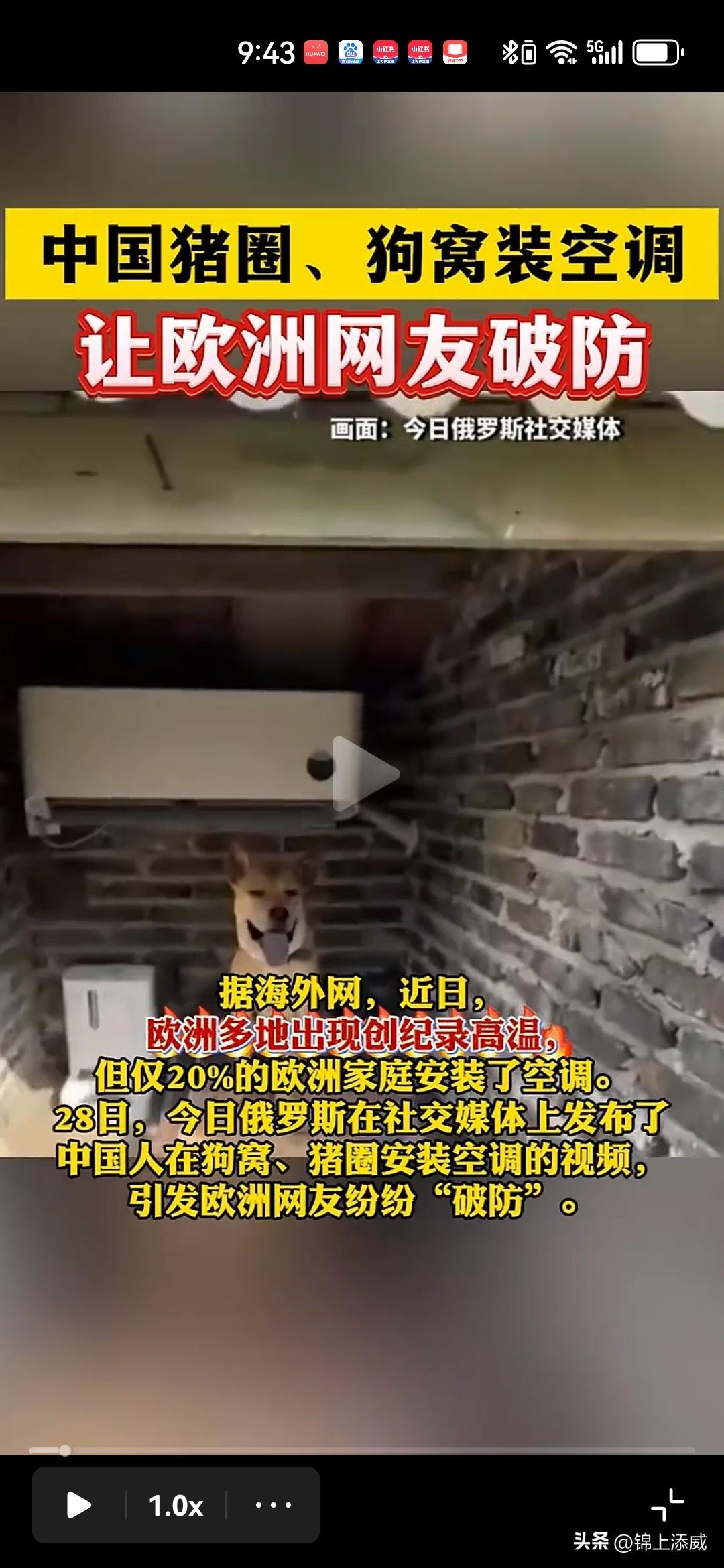 中国猪圈装空调让欧洲网友破防！今年夏天在欧洲，命是中国给的，因为很多热浪来了很多