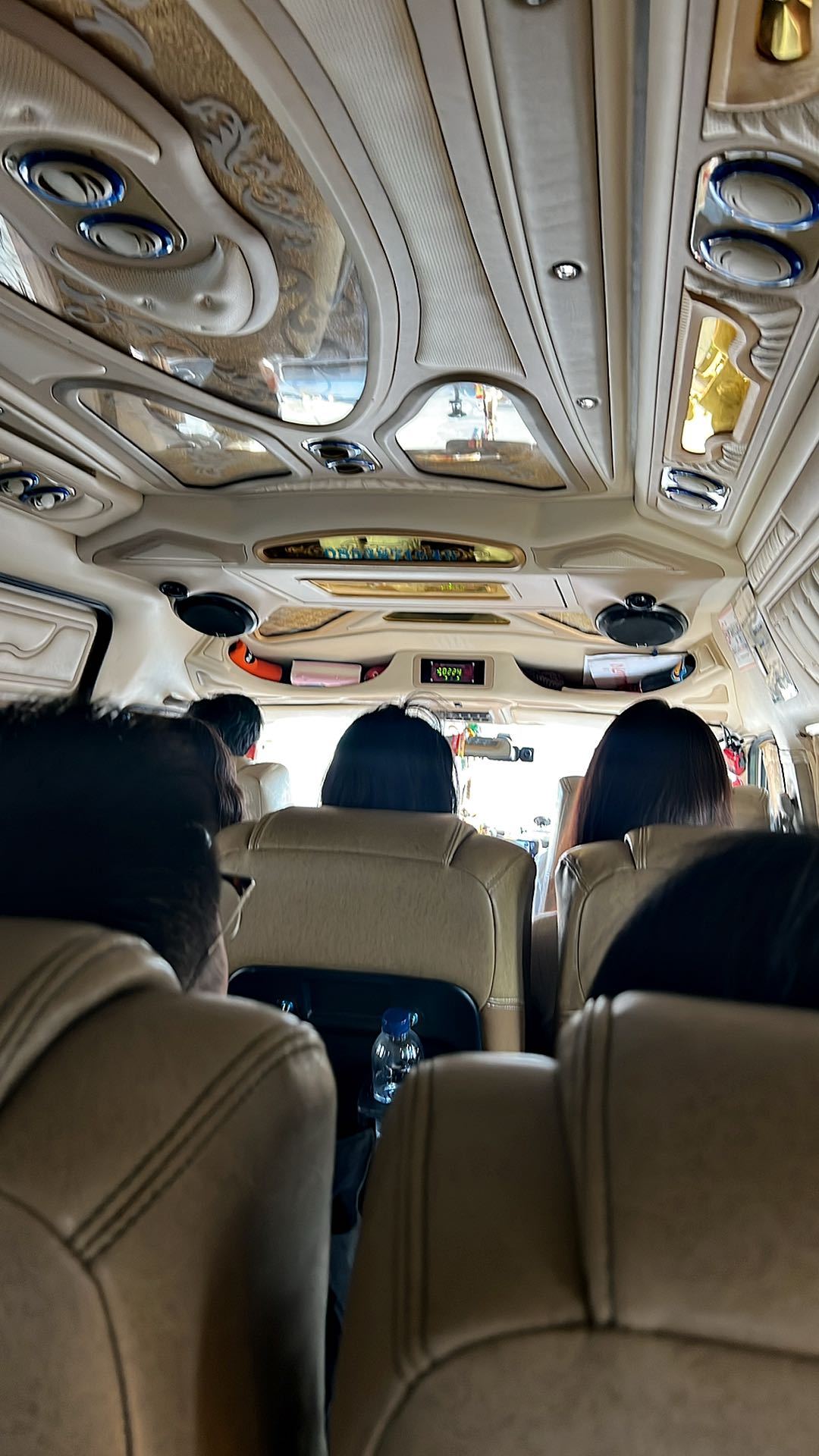 今天行程：skyline丛林飞跃 