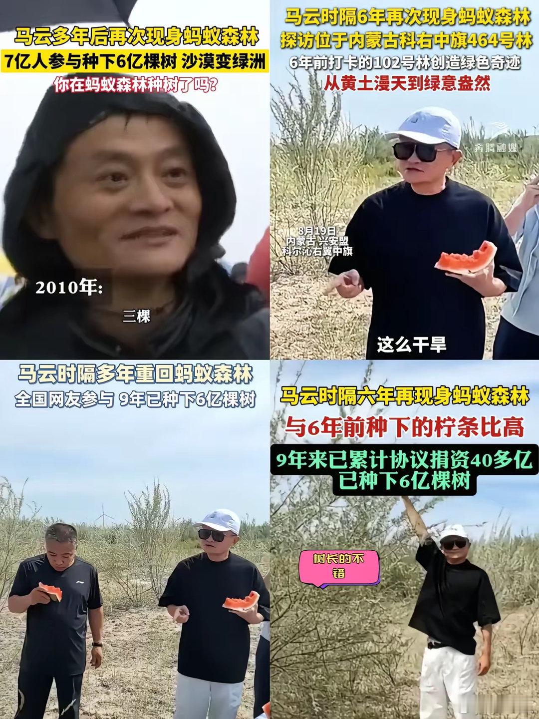 马云八年前种下的虚拟树苗，你们种了几颗[干饭人] ​​​