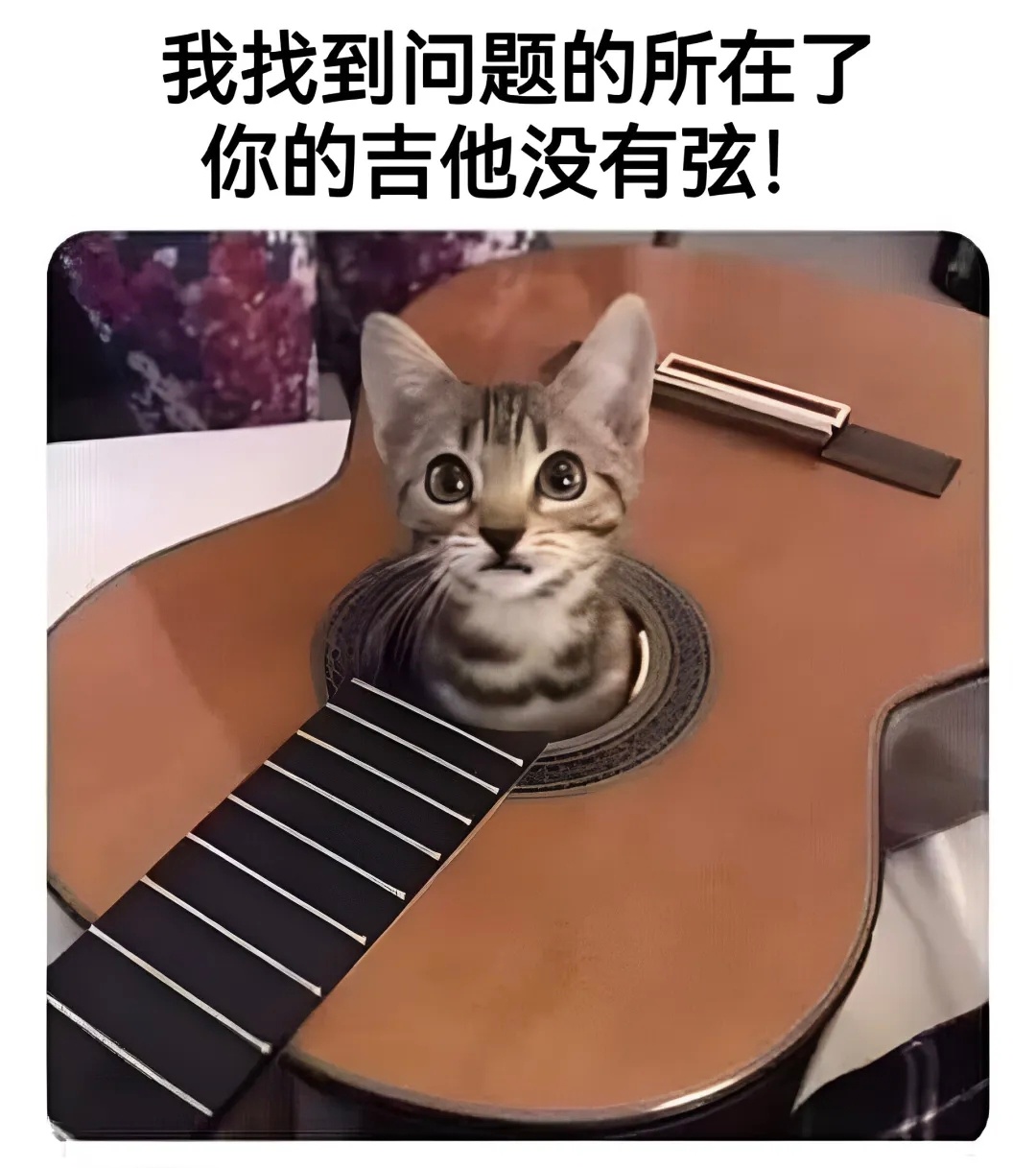 没有弦，却能撩拨我的心弦memes春风里派对