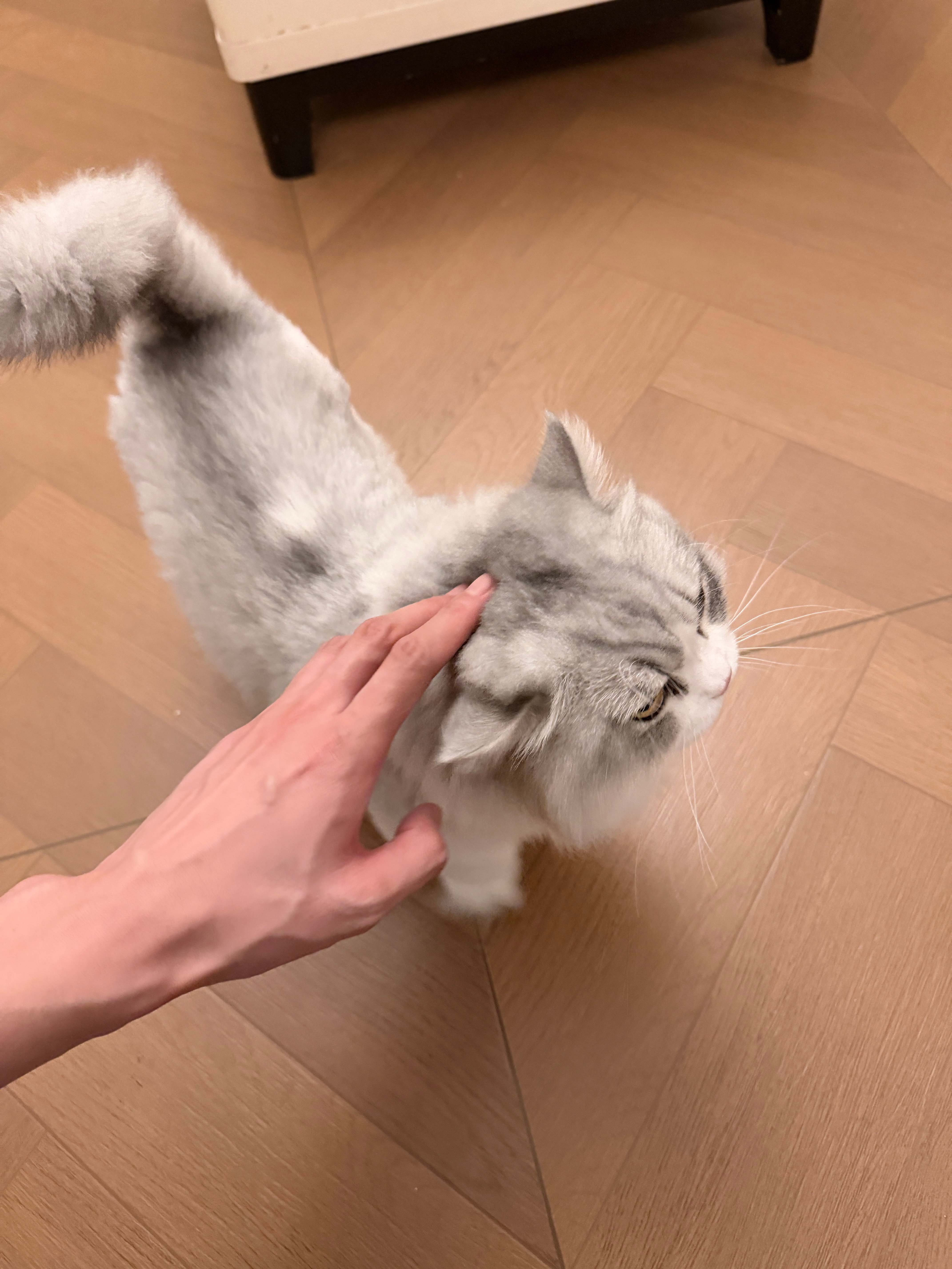 我又来了 ​​​