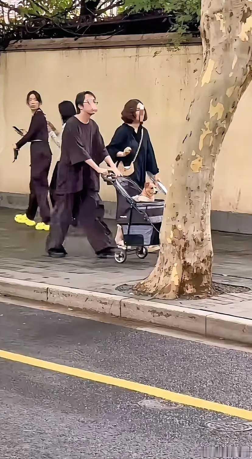 据说当今流行新趋势：有钱人养狗，没钱人养娃。日常[超话]随手拍 ​​​