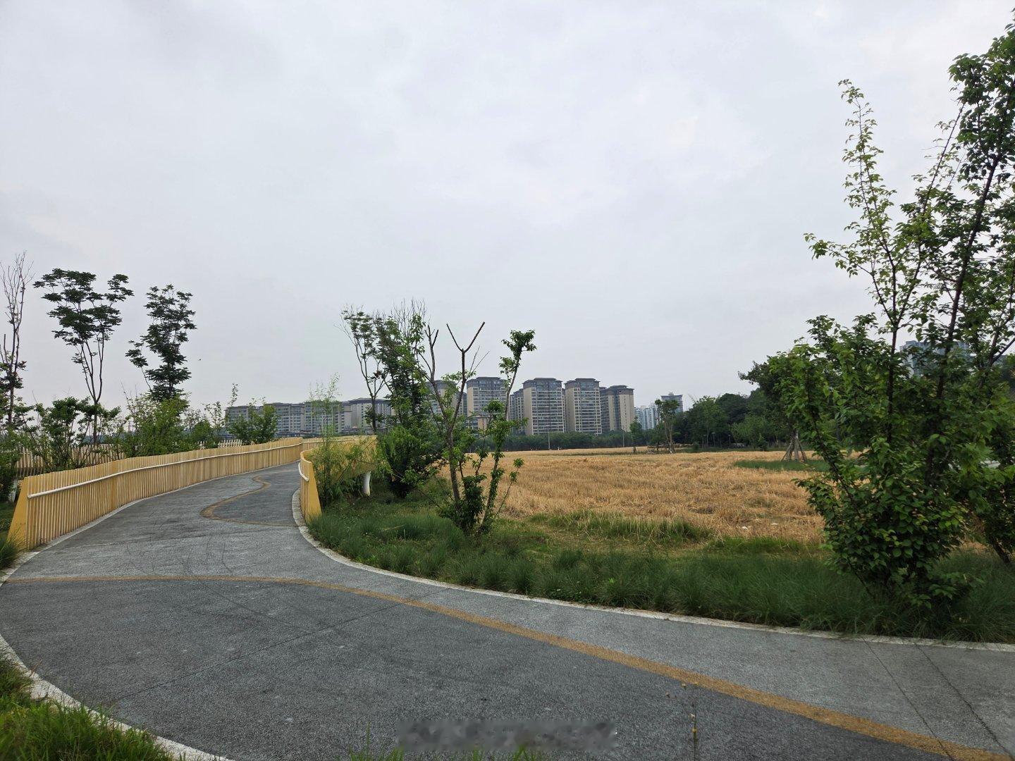 中国旅游日公园城市幸福成都一键进入成都的夏天青羊播报手机摄影爱好者夏日的成都市青