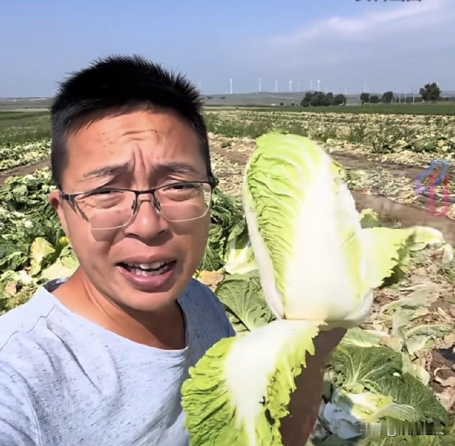 张家口“甲醛白菜”闹得人心惶惶，买菜都开始不踏实了。

到底怎么分辨？一位接触过