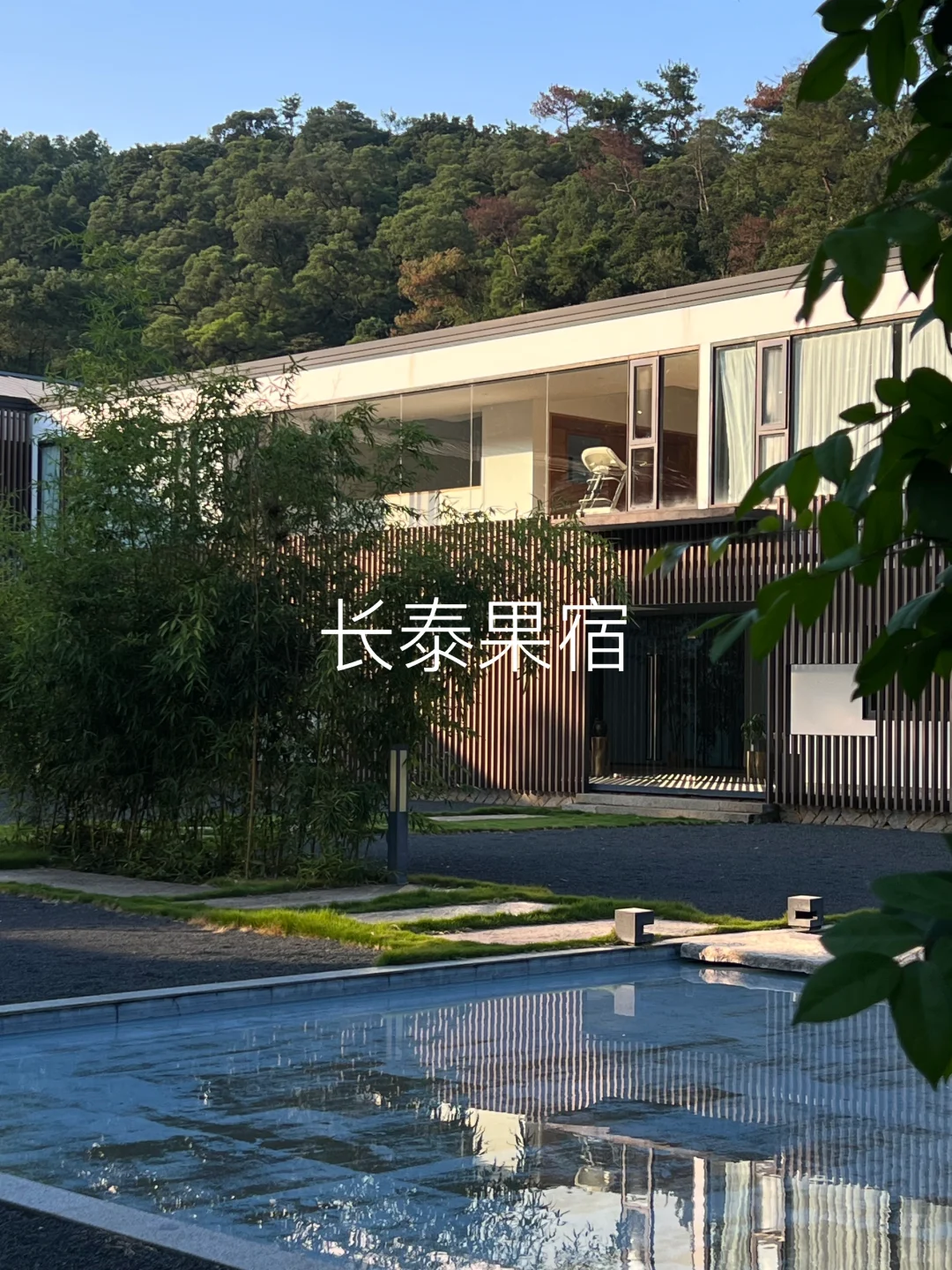 🚣‍♂️溪畔饮马，林间悟道。