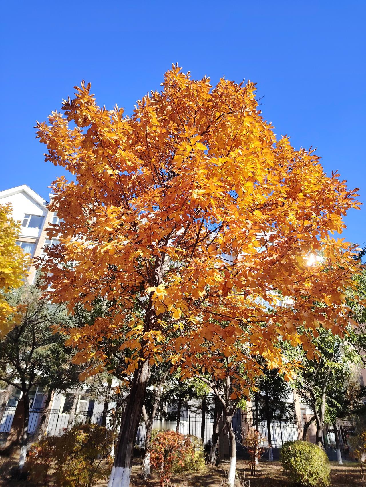 独处时，少了社交的纷扰，能更专注自我成长。我可以静下心来读书、学习新技能，让自己