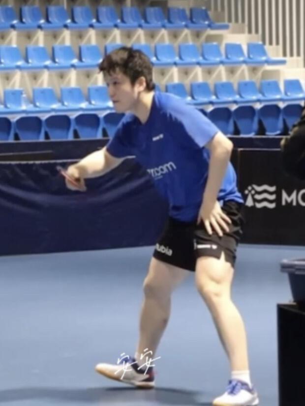 王指导你们谁懂啊，奥运两大冠亚军都在我身边，他们俩又打上了！
东哥在练球，小莫在