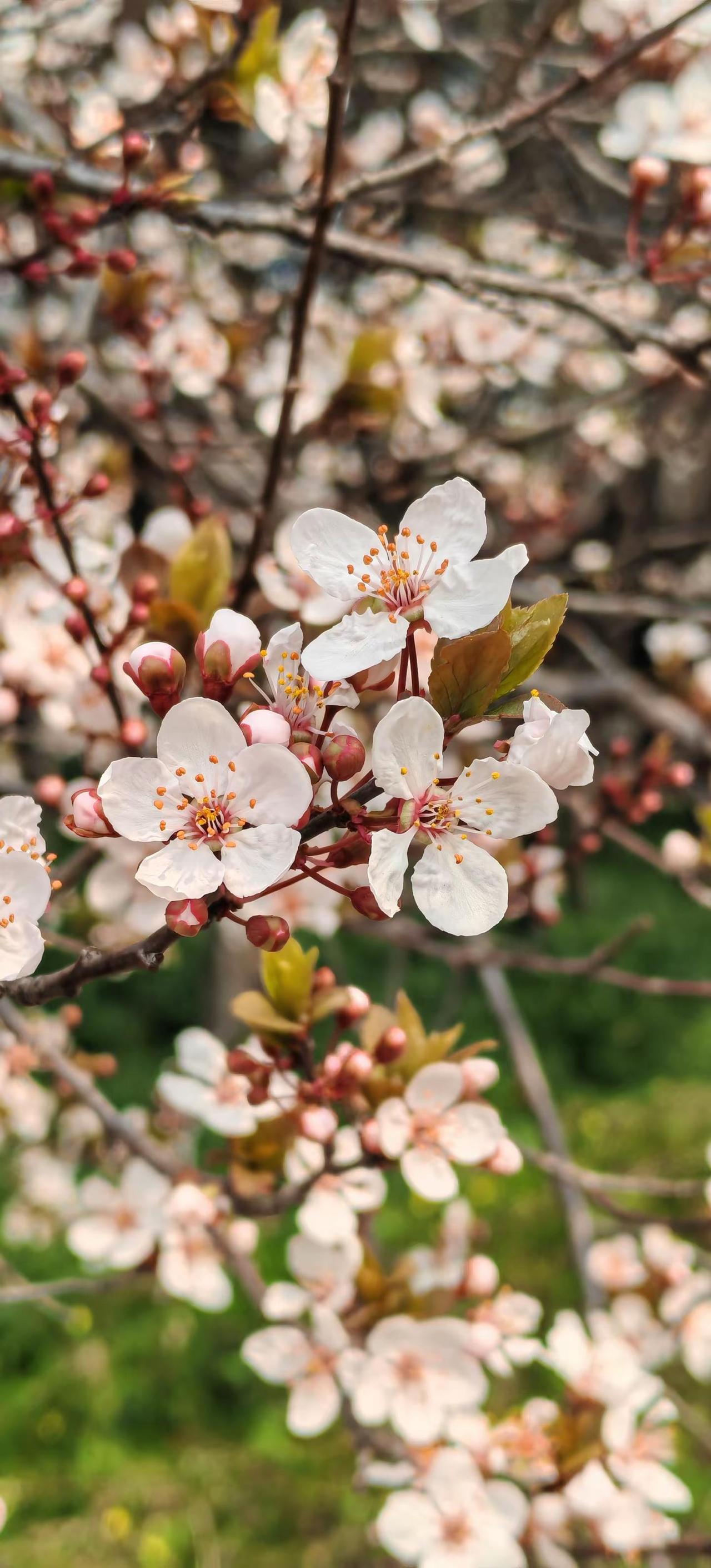 我拍过的治愈风景色 随拍随发随写日常 风光摄影我拍过的治愈风景色