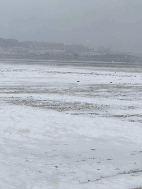 2.7号烟台海边实况（真草急了，已冻彪了）