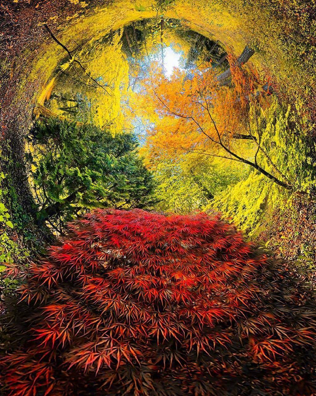树洞 ​​​
