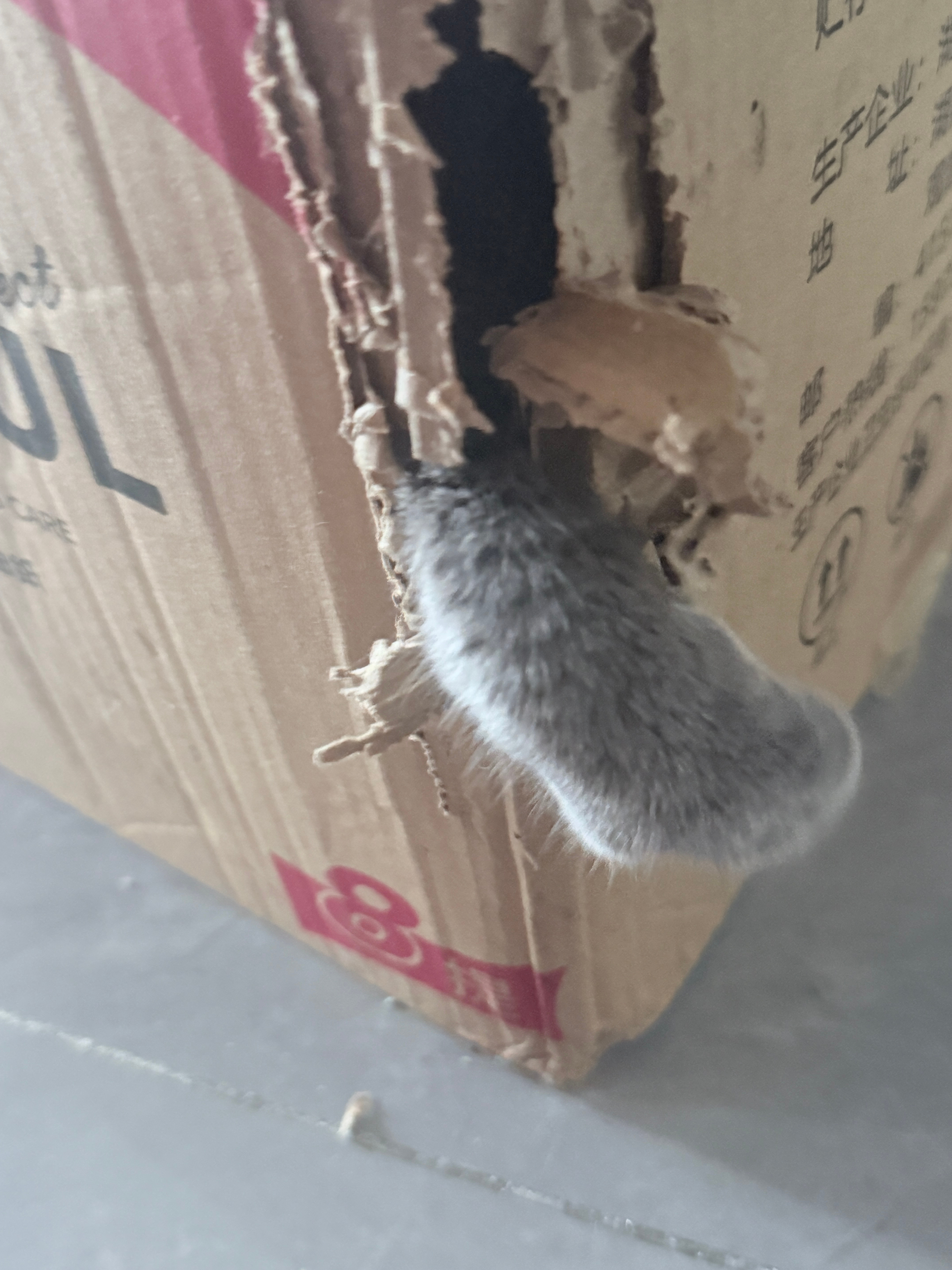 我晕。 