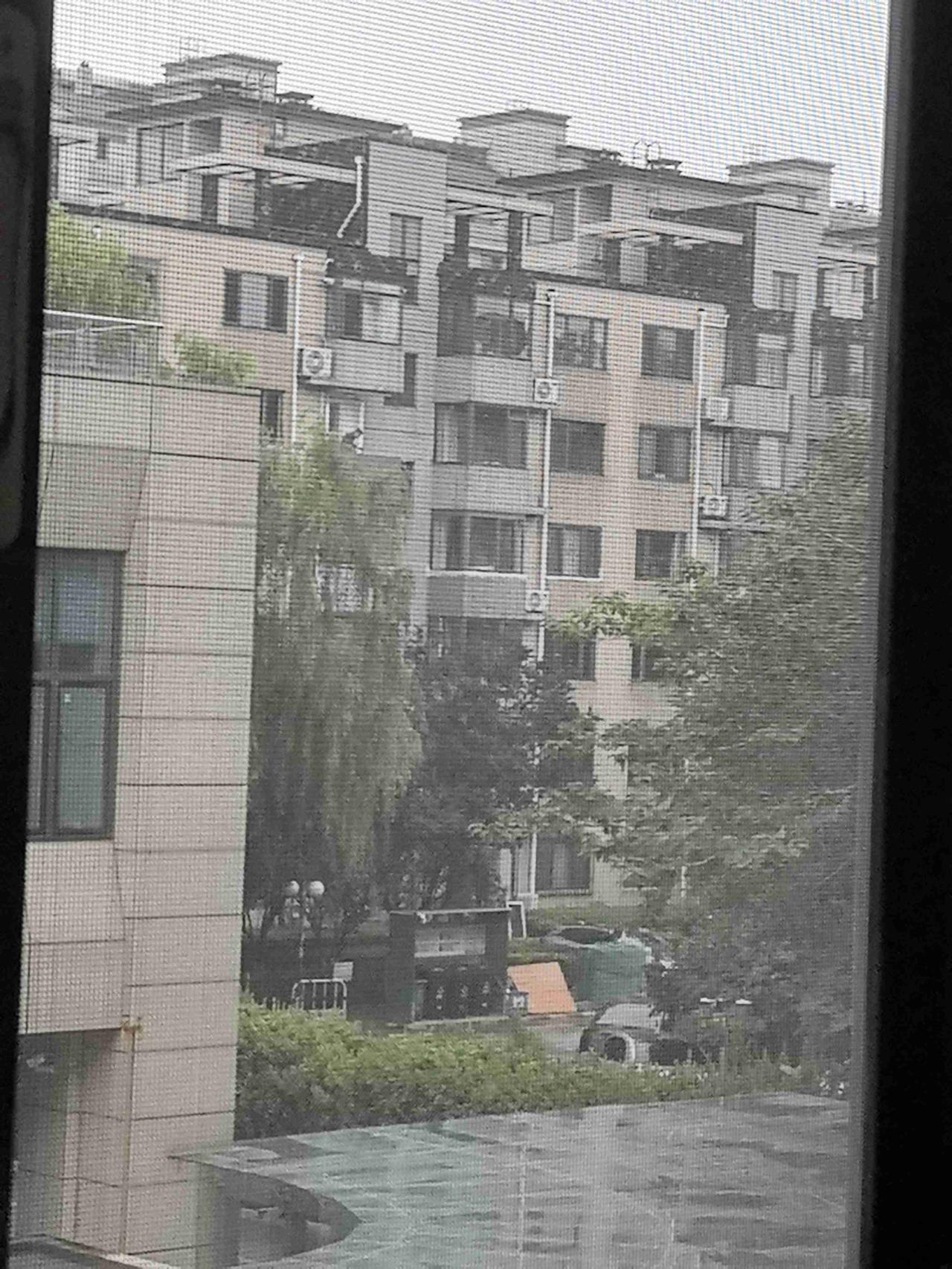 我的今日状态：😁轻松愉快
我这里的天气：☀️阴天