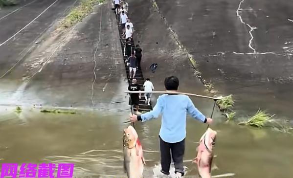 湖北咸宁富水水库开闸泄洪，附近的居民还有闻声过来的众人，足有上百人在此通宵捕捞水