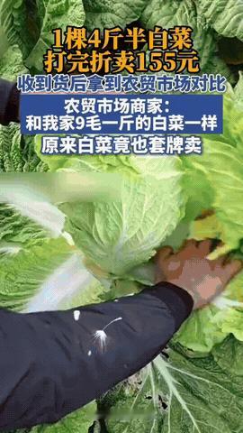 太坑人了！11月28日报道，一记者在网上买了一颗大白菜，4斤半，却花了155元，