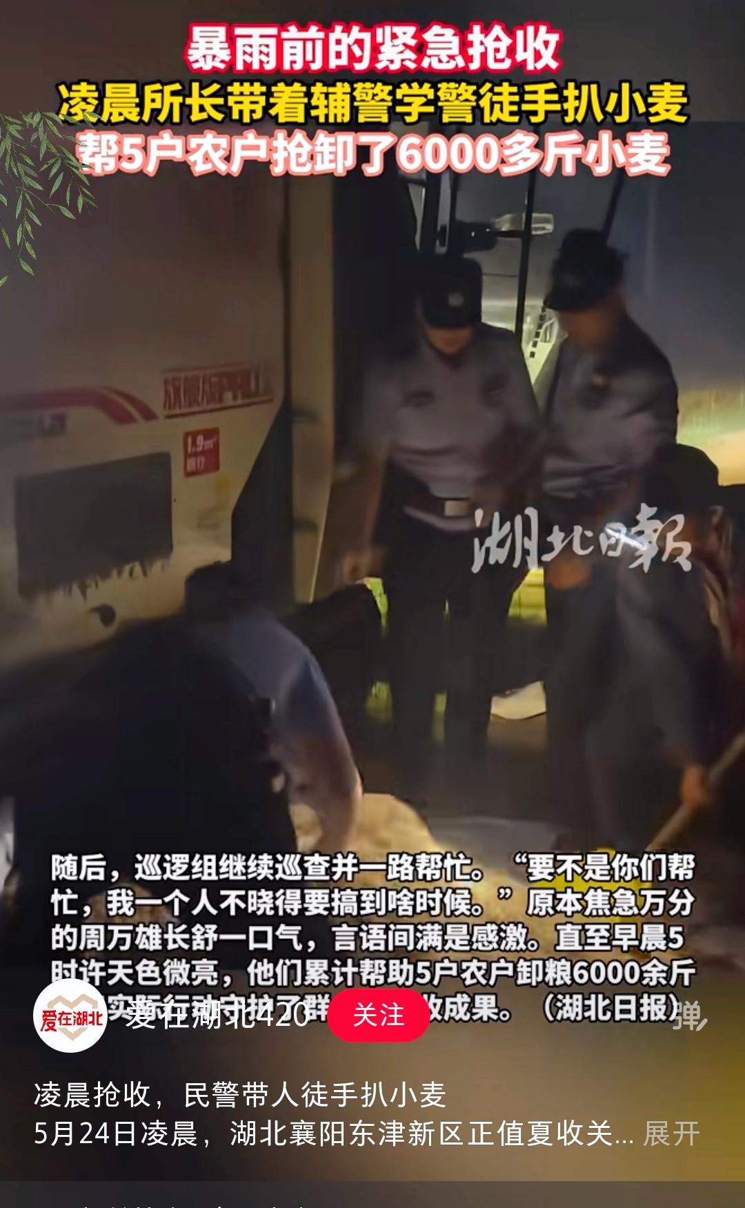 凌晨一点，泥地里几个灰头土脸的警察，这画面看着确实挺荒诞。

要是没看懂背景，准