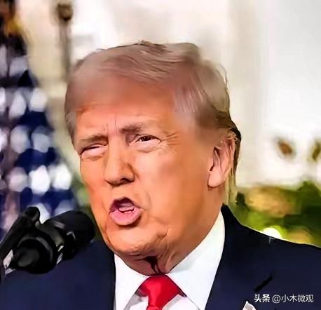 特朗普的232调查，玩的根本不是贸易那套！

最近被特朗普的232调查刷屏了吧？