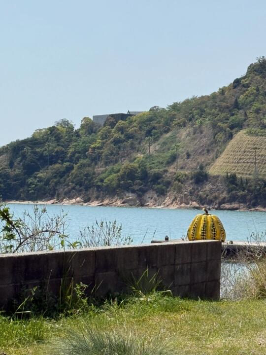 濑户内海艺术祭 P人自驾游主打随心所欲