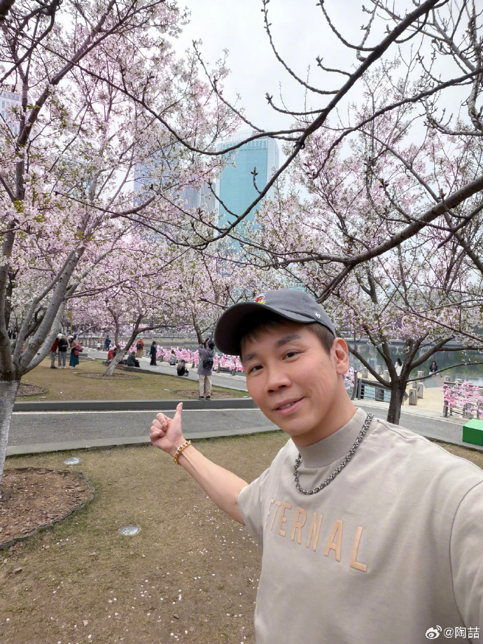 陶喆180度樱花自拍 看陶喆为了出片这么拼我突然释怀了，原来明星也躲不过“这个角