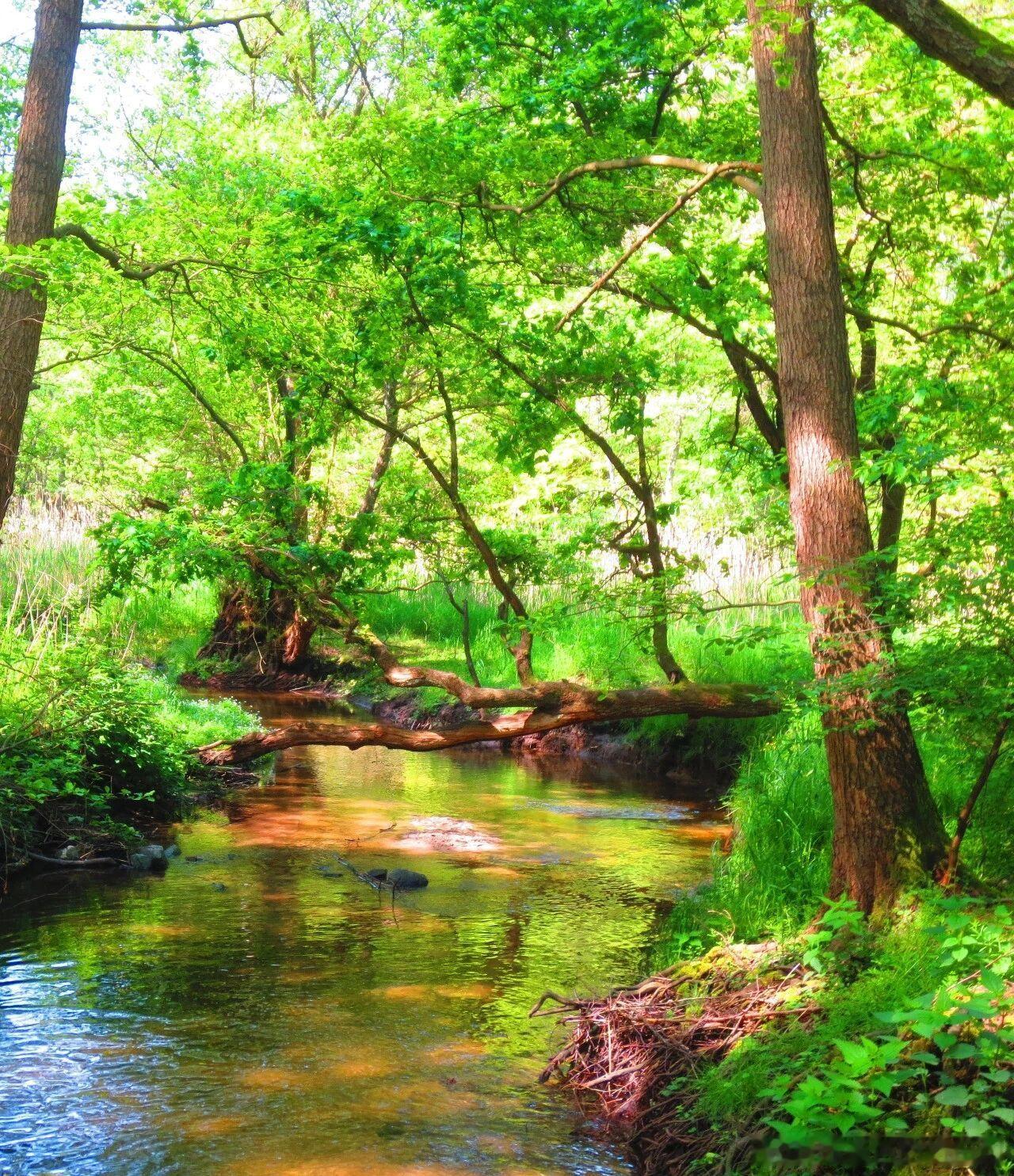 奔赴山野青绿，玩水露营野餐，这才是最治愈的夏天！ 