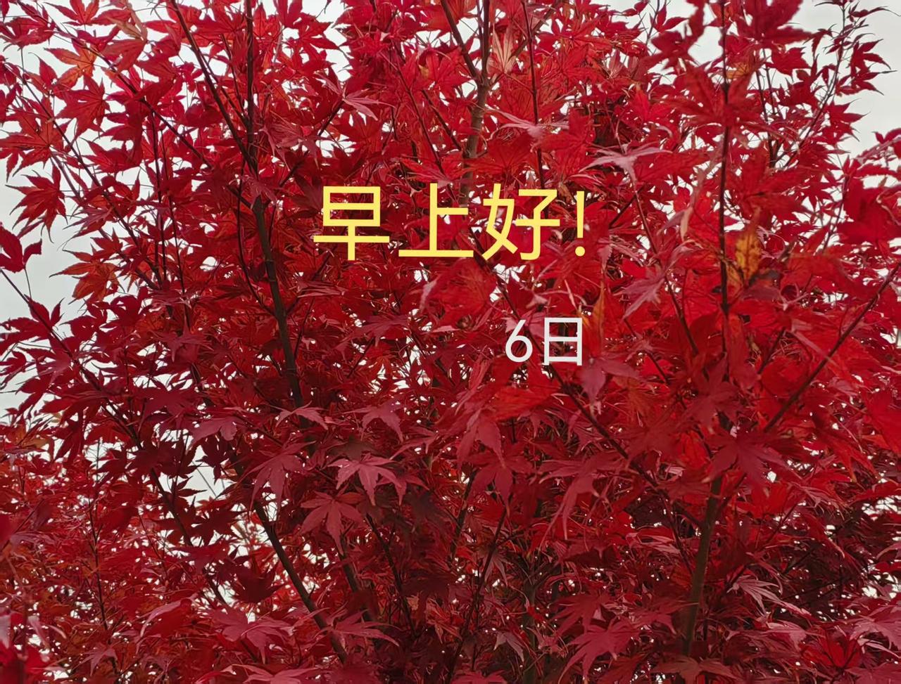 驻马店一个县的民办高中体育老师相当“人体秤”！

 这所民办高中真的挺奇葩，让体