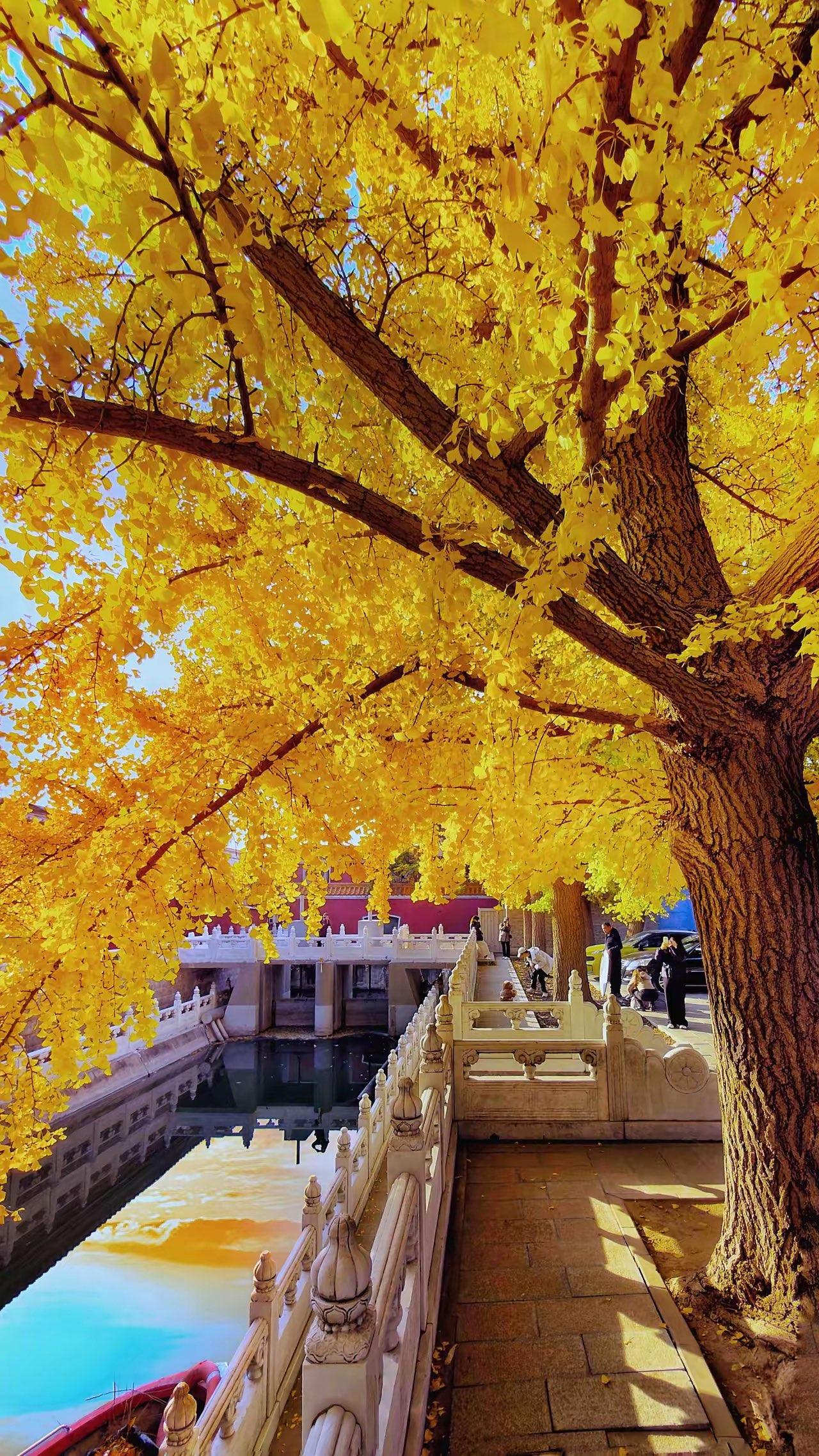 有些事很多人在做，你不做不代表你错了。