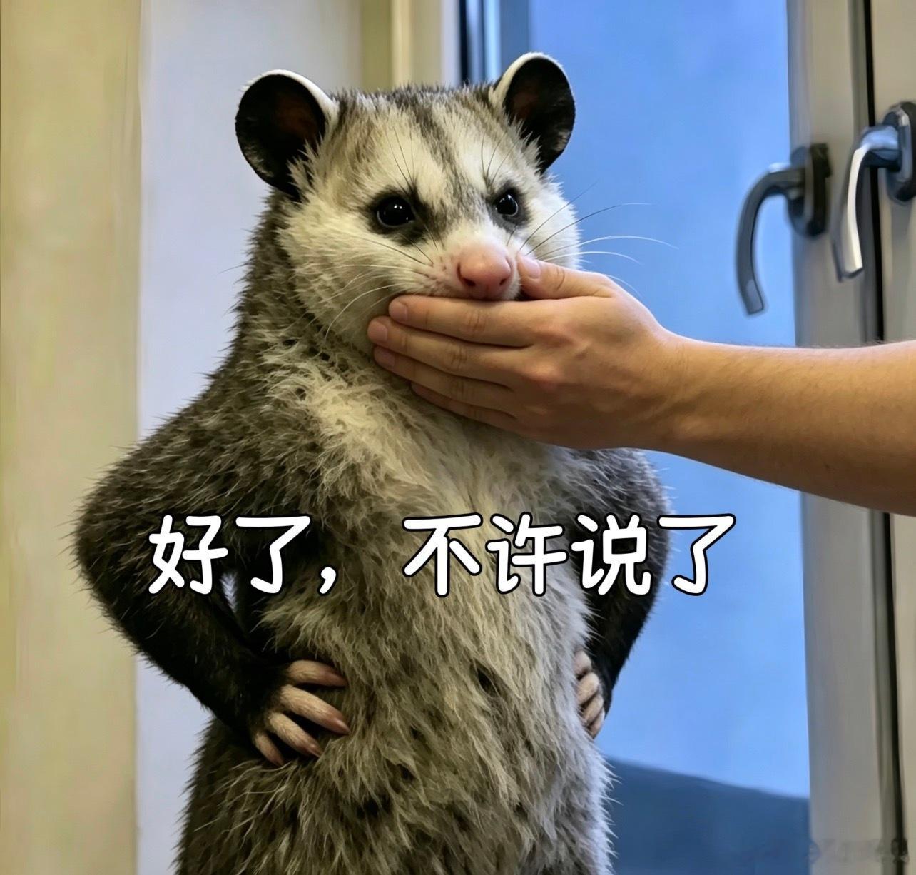 疑似塌房男顶流几年没进组内娱当红流量不进组另说，传一个饼就立马被打假的包有问题，