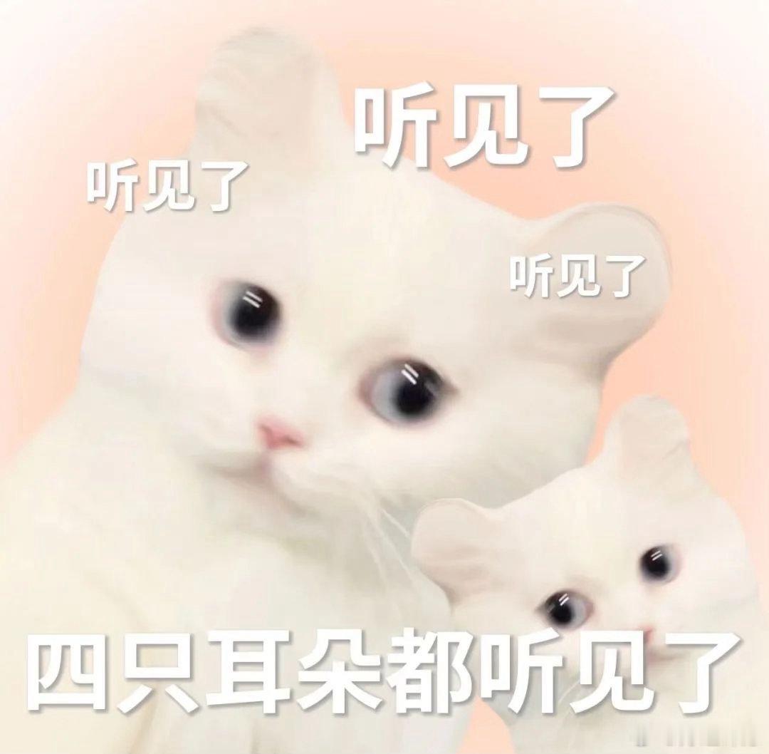 AI赋能国产屏幕体验新突破 朋友，你有没发现，手机防窥这个痛点一直没解决，直到小