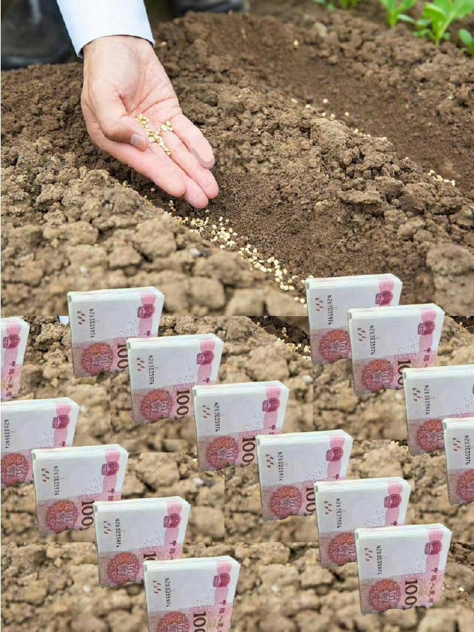 接！你花出去的钱会十倍百倍的流向你💰 