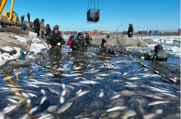 【财富晚茶】三元股市收评：沪指跌0.51%：渔业强势上扬软件探底导语：作者系《网