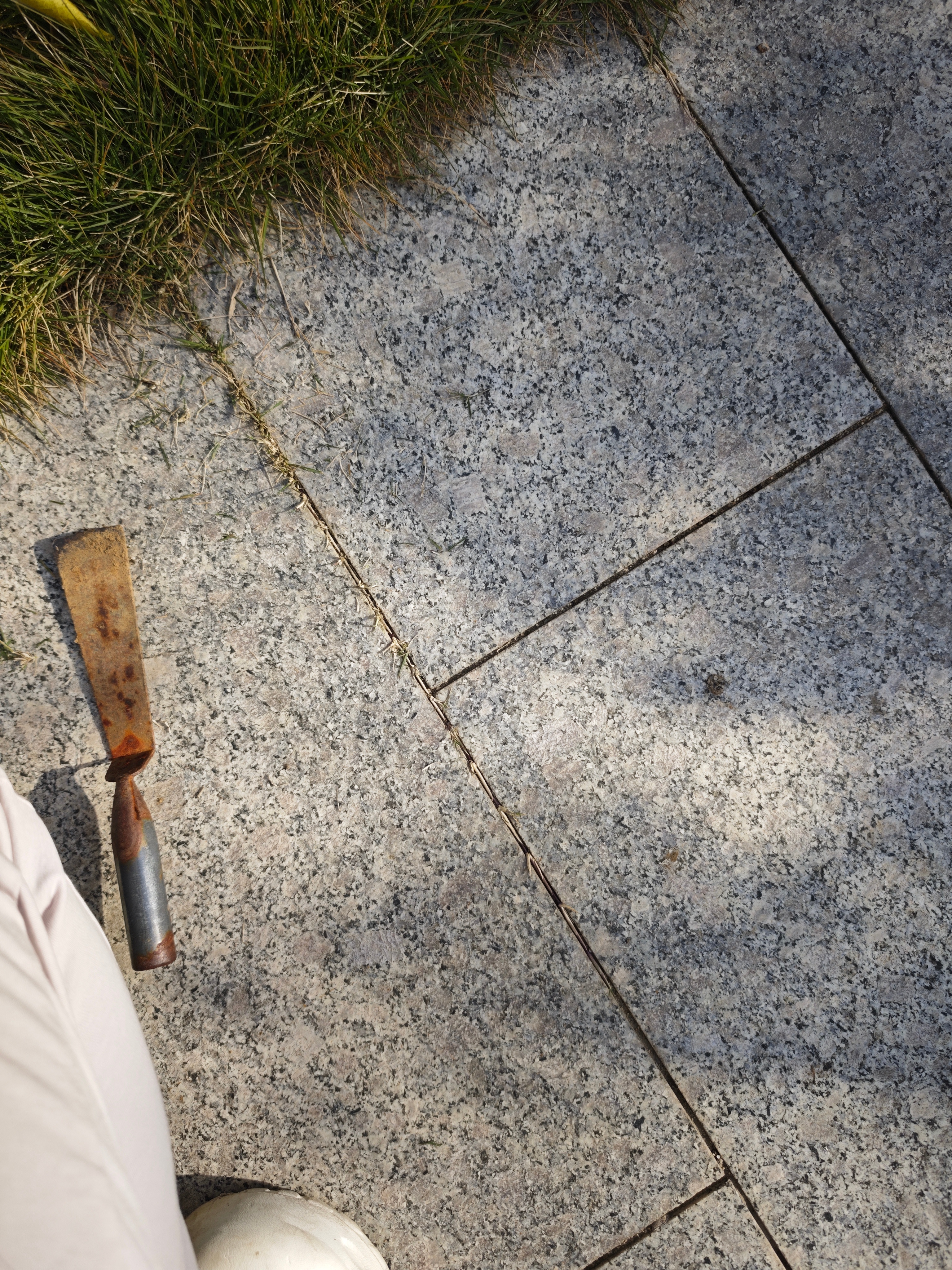 维护草坪为什么是力气活？因为草的生命力太强大了～ 